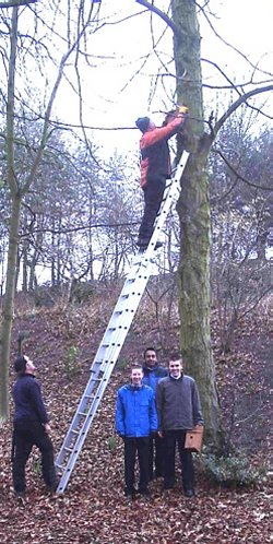 Pupils from Dartmouth High School with the installation of Bird Boxes
